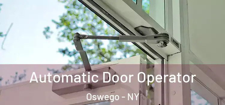  Automatic Door Operator Oswego - NY