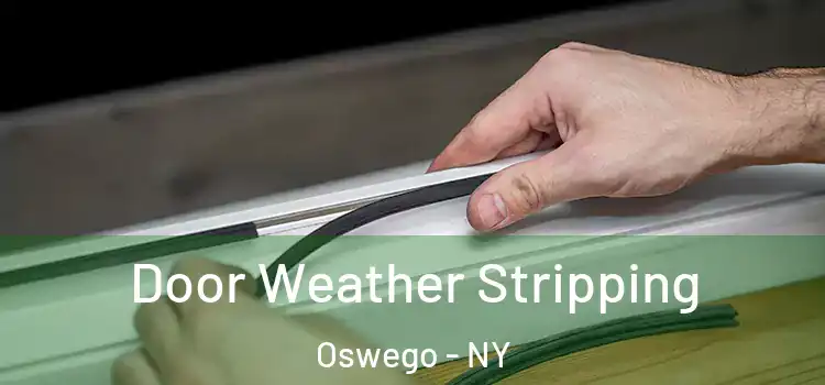  Door Weather Stripping Oswego - NY