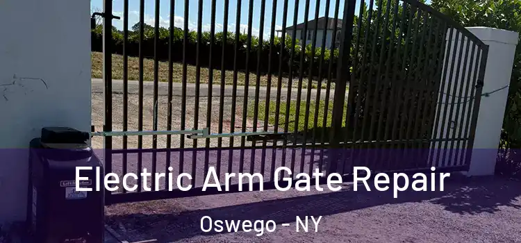  Electric Arm Gate Repair Oswego - NY