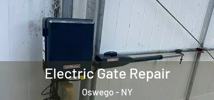  Electric Gate Repair Oswego - NY