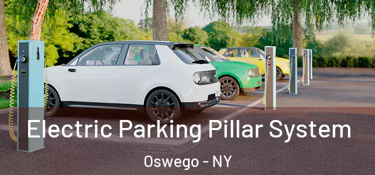  Electric Parking Pillar System Oswego - NY