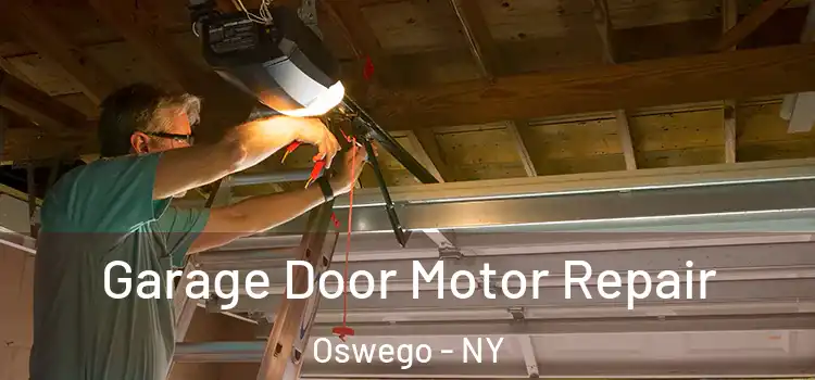  Garage Door Motor Repair Oswego - NY