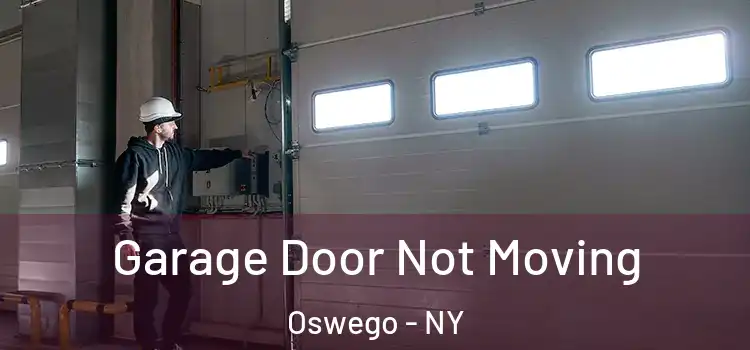  Garage Door Not Moving Oswego - NY