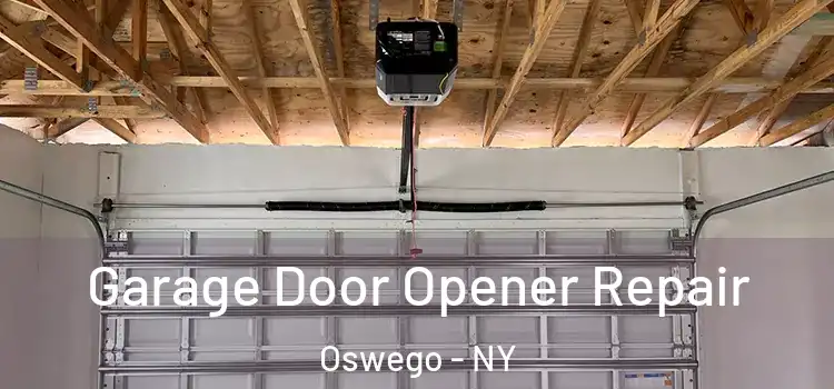  Garage Door Opener Repair Oswego - NY