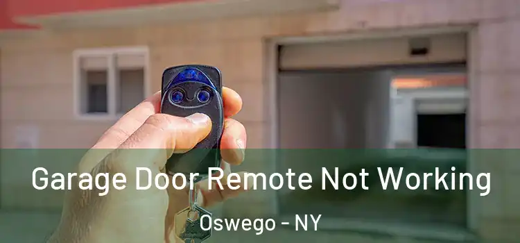  Garage Door Remote Not Working Oswego - NY