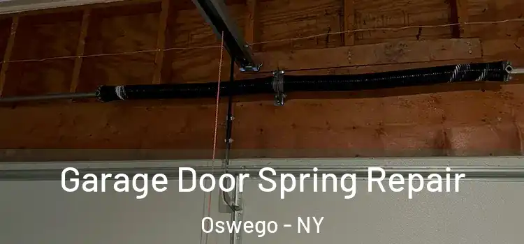  Garage Door Spring Repair Oswego - NY