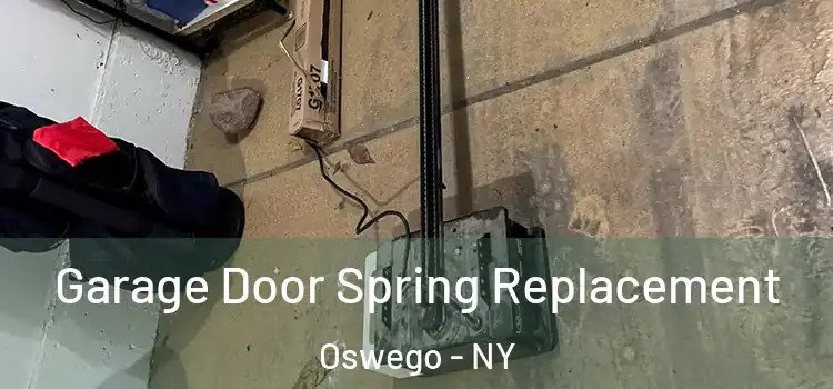  Garage Door Spring Replacement Oswego - NY