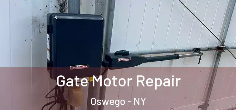  Gate Motor Repair Oswego - NY
