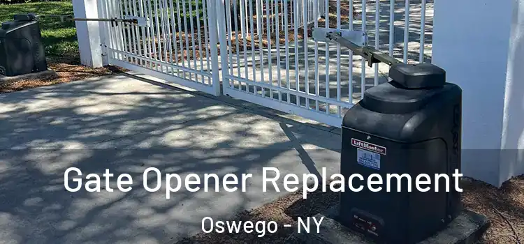 Gate Opener Replacement Oswego - NY