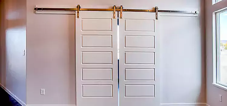 Glass Barn Door with Installation Hardware Kit Oswego