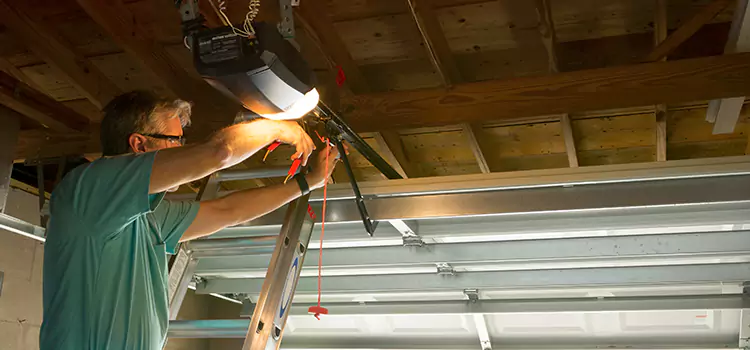 Garage Door Opener Sales and Installation Oswego