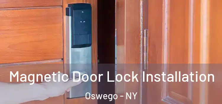  Magnetic Door Lock Installation Oswego - NY