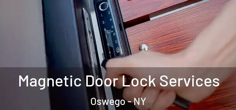 Magnetic Door Lock Services Oswego - NY