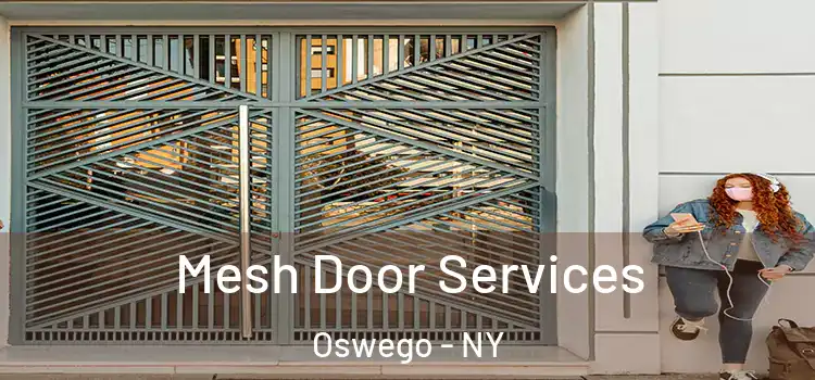  Mesh Door Services Oswego - NY