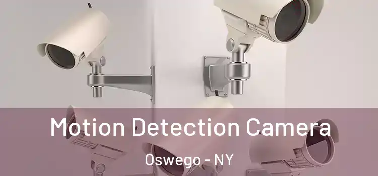  Motion Detection Camera Oswego - NY