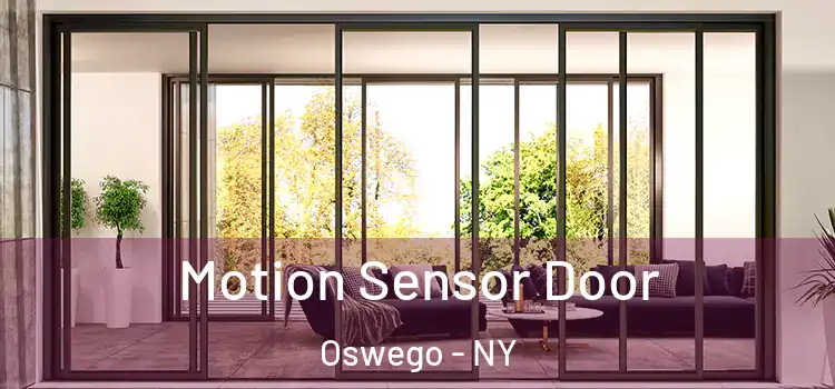 Motion Sensor Door Oswego - NY